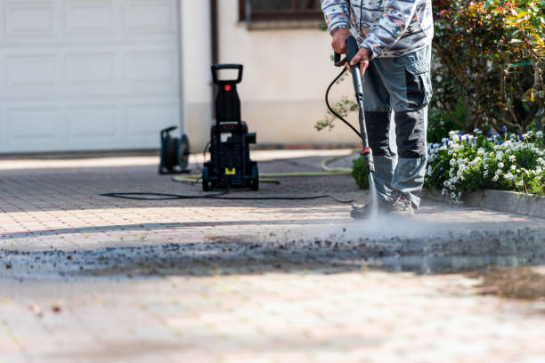 Best Seasonal Cleaning Services in Lake Shore, MD